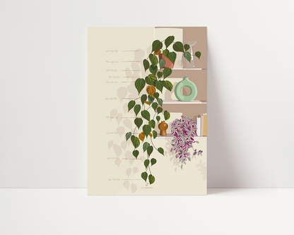 Affiche Philodendron Micans Jungle Paper