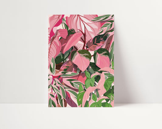 Affiche Philodendron Pink Princess Jungle Paper