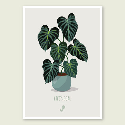 Affiche Philodendron Verrucosum Jungle Paper