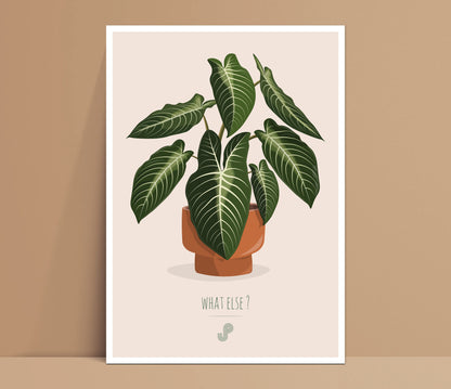 Affiche Phyllotaenium Lindenii Jungle Paper