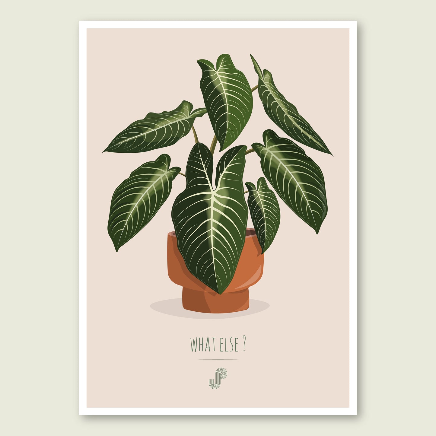 Affiche Phyllotaenium Lindenii Jungle Paper
