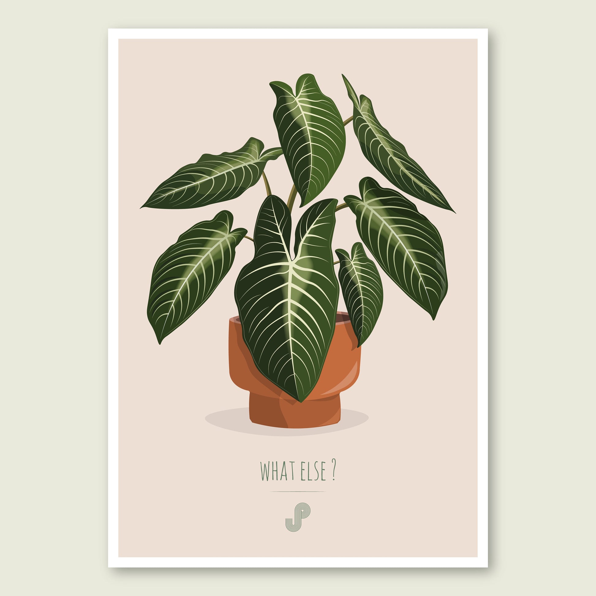 Affiche Phyllotaenium Lindenii Jungle Paper
