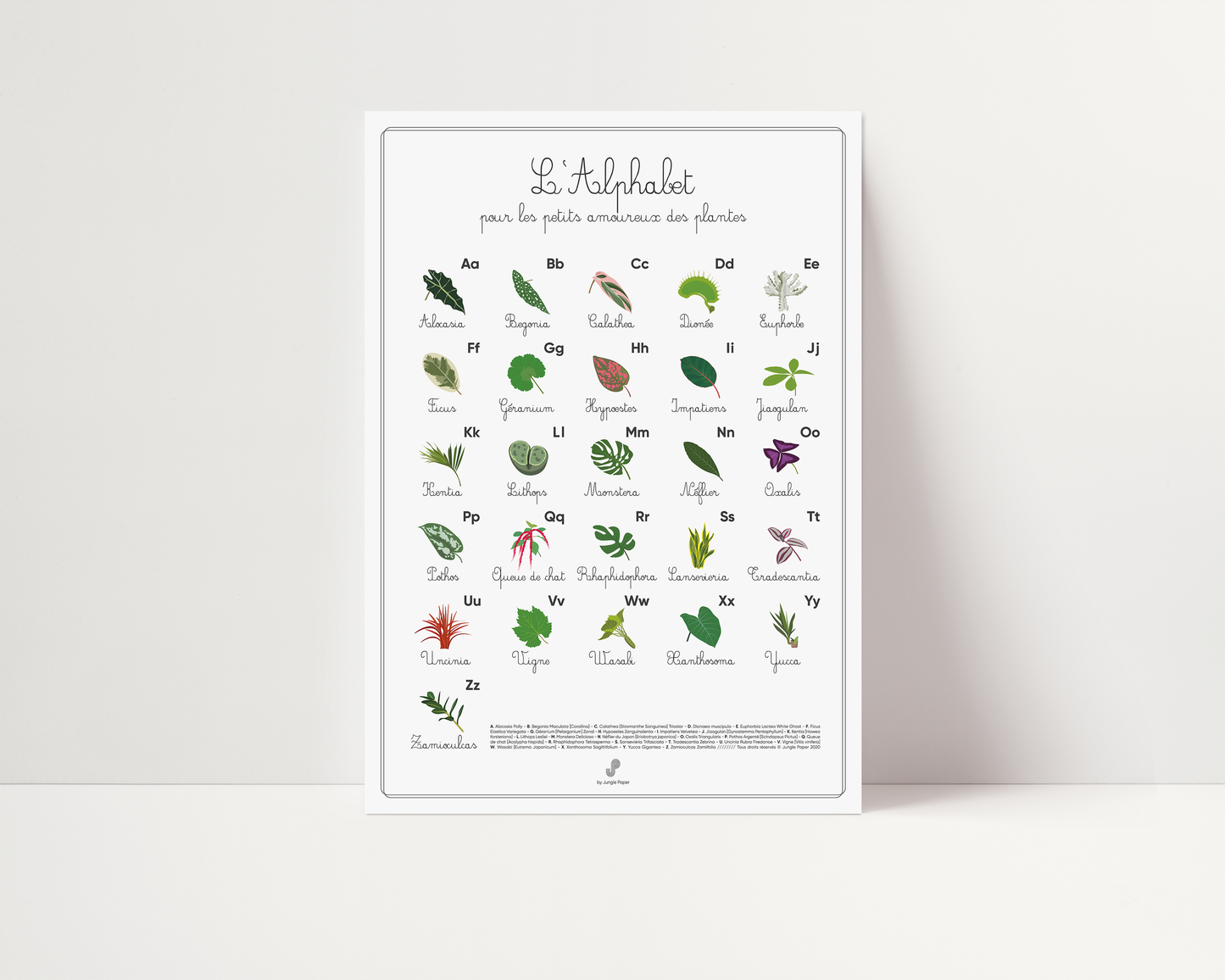 Affiche alphabet abécédaire plantes Jungle Paper