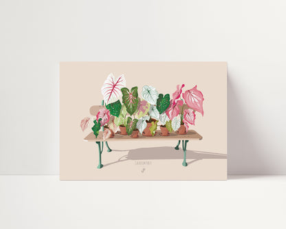 Affiche Caladium Party Jungle Paper