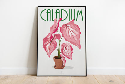 Affiche Caladium Rose Jungle Paper