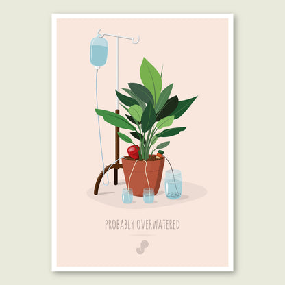 Affiche Overwatered plant Jungle Paper